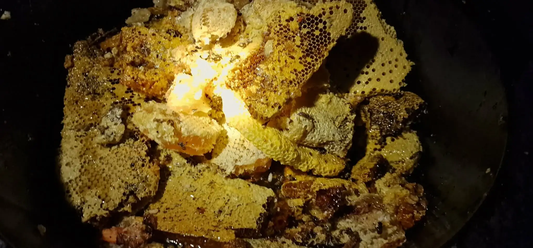 น้ำผึ้งทองสด